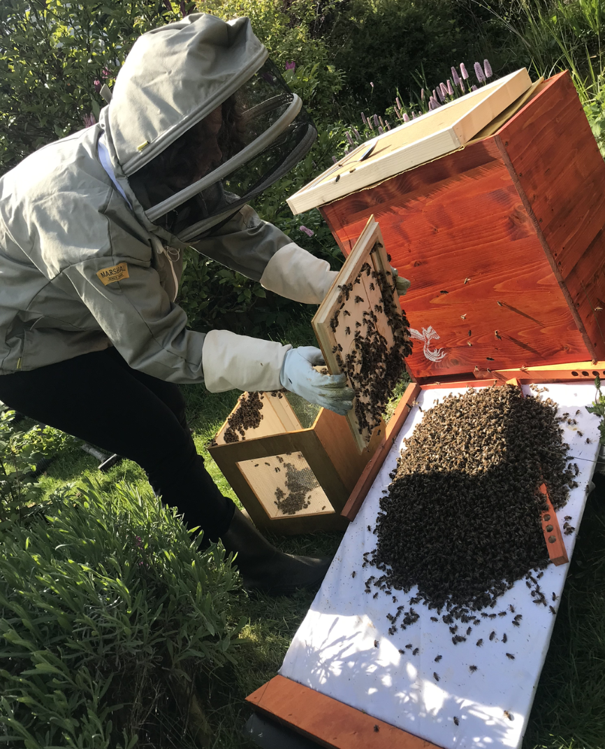 Bildschirmfoto 2019-05-19 um 18.43.40.png